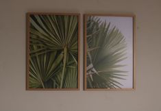 Others 6 Vila do Frances