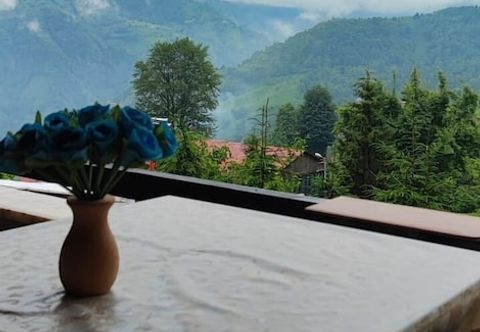 其他 YeşilKöy Pansiyon