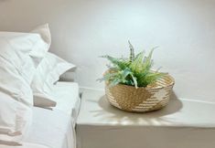 Others 3 Cave Crafted Suites