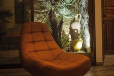 อื่นๆ Dar Lina