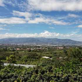 Primary image1Hotel El Arca, Jardín Botánico y Restaurante,埃雷迪亚省飯店