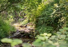 Others 5 Chuncheon Haven Forest Pension