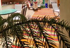 其他 2 Riad Rose Mati