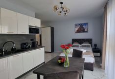 其他 2 Apartamenty Hetmańska 4 Katowice