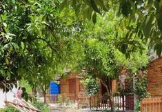 Lainnya 4 Karakalem Pansiyon