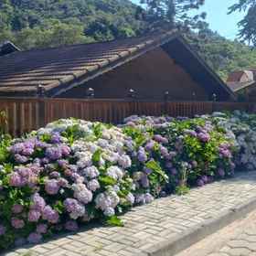 Primary image1Chalé Aroma da Serra,韦尔纳·格林贝格市政体育场飯店