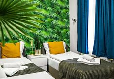 Others 6 Great Polonia Dwarf Wrocław