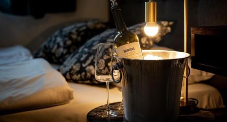 기타 2 Great Polonia Dwarf Wrocław