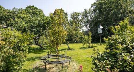 Others 2 Poppy at Gorslwyd - Sound Retreat