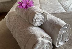 其他 6 Pousada Dulce Ville