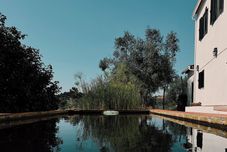 其他 breakfastunderatree