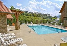 Others 5 Bear Paws Up