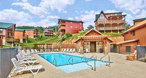 Others 2 Bear Paws Up