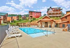 Khác 2 Bear Paws Up