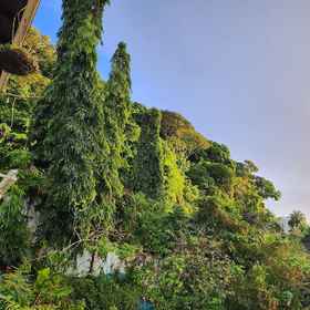 Primary image1Flower Of Joy Wellness Villa，圣胡安-拉文蒂尔公寓