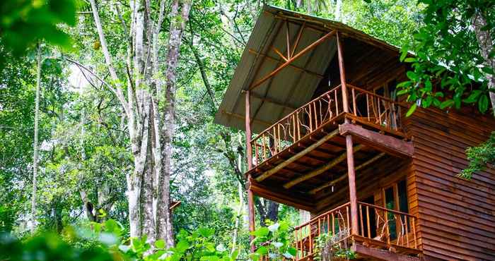 Lainnya Ella Eco Lodge