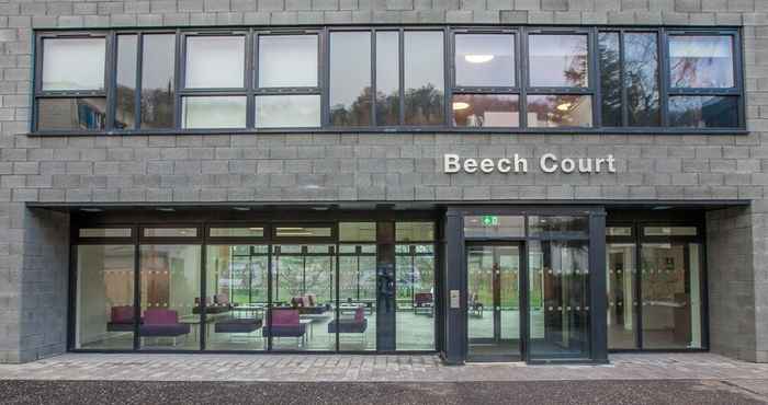 Lain-lain Beech Court - Hostel