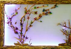 其他 6 Bora Bora Butik Hotel