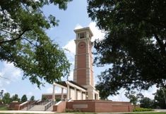 其他 7 Springhill Suites Mobile