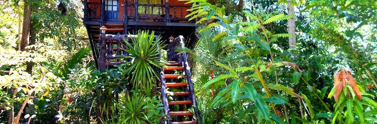 Others Khao Sok Tree House