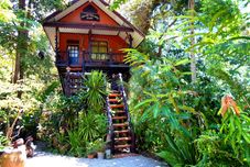 その他 Khao Sok Tree House