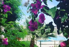 Lainnya 6 Bitez Marina Hotel