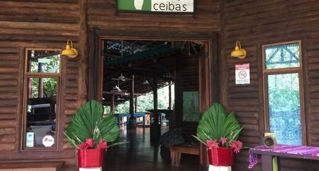 其他 2 Cinco Ceibas Lodge