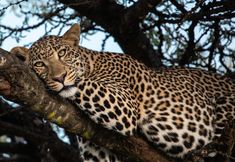 Others 3 Mahali Mzuri