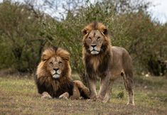 Others 4 Mahali Mzuri