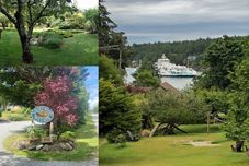 기타 Driftwood Village