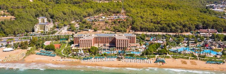 其他 AQI Pegasos Royal