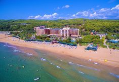 其他 2 AQI Pegasos Royal