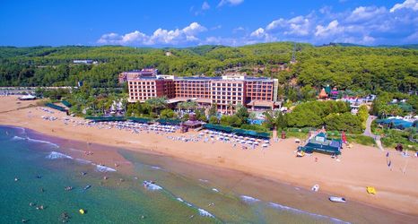 其他 2 AQI Pegasos Royal