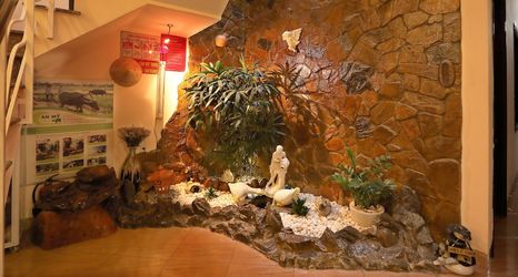 기타 2 Green Garden Homestay