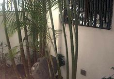 อื่นๆ 2 Hotel Cacts