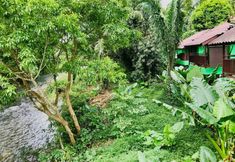 Others 6 Khao Sok River Lodge Hotel