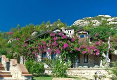 其他 2 Dionysos Hotel