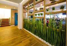 Khác 2 Honeymoon Hotel