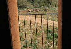 其他 4 Agroturismo Sa Campaneta