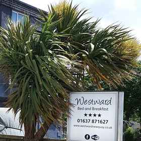 Primary image 1 Westward Bed & Breakfast, Deviock Hotels