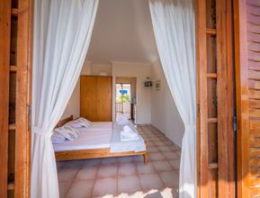 其他 4 123 Soleil Studios