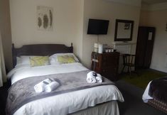 Others 2 The Bear Marlborough