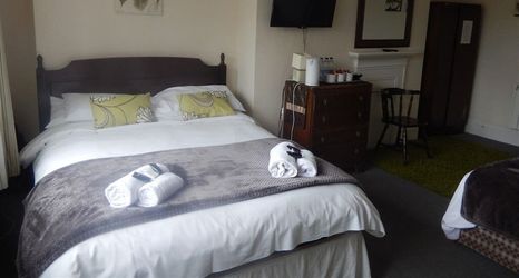 Others 2 The Bear Marlborough