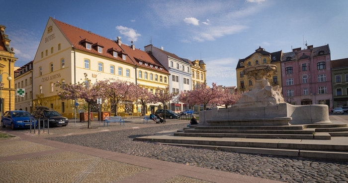 อื่นๆ Hotel Česká Koruna