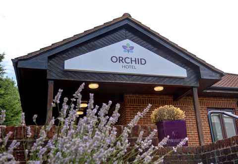Others Orchid Epsom, Sure Hotel Collection by Best Western