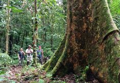 其他 5 Yatama Ecolodge Sarapiqui