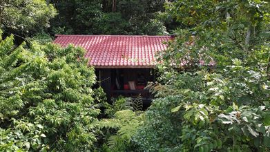 其他 4 Yatama Ecolodge Sarapiqui