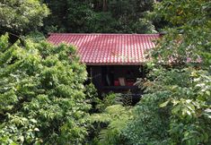 기타 4 Yatama Ecolodge Sarapiqui