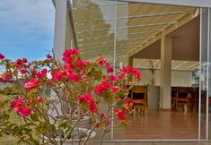 其他 2 Pousada Matsubara