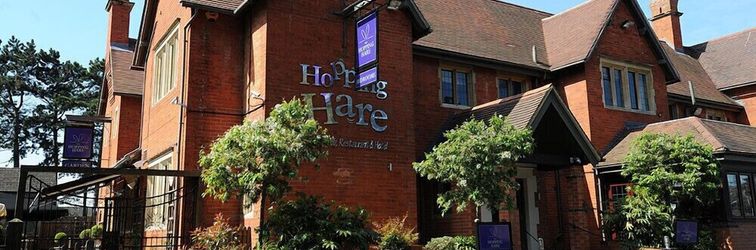 その他 The Hopping Hare